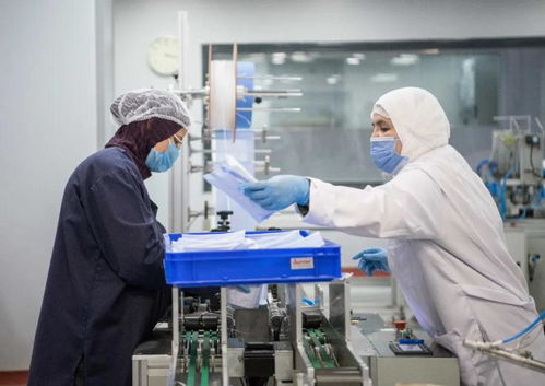 中埃携手战疫情，真情援助暖人心