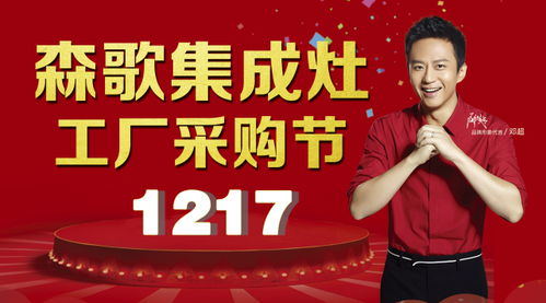 是谁撩起你的心，陪你温暖过冬季——比双11更火爆的年终大促婚介活动